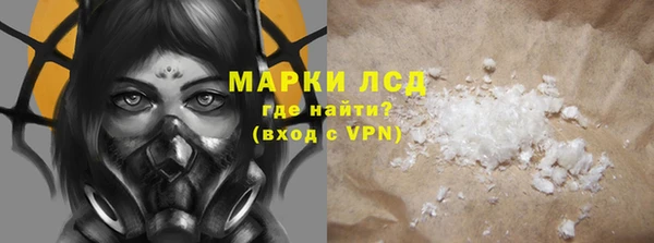 прущие грибы Гвардейск