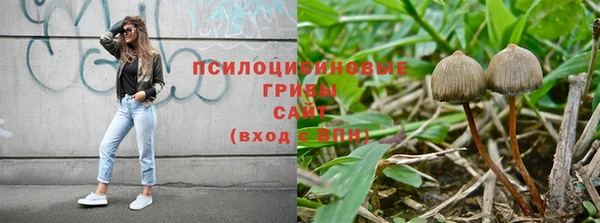 хмурый Алексеевка