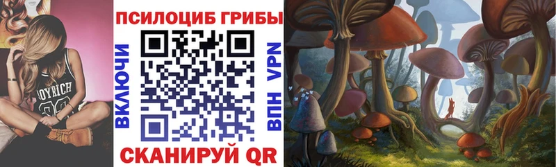 Псилоцибиновые грибы Cubensis Жирновск